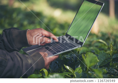 Smart farmer using laptop in eco green farm sustainable quality control. Close up Hand typing laptop computer quality control plant tree. Farmer hands using technology in eco Farmland biotechnology 116726549