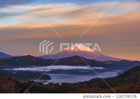 (Kanagawa Prefecture) Mount Fuji at dawn in early winter as seen from Mount Daikanzan in Hakone (Kanagawa Prefecture) Mount Fuji at dawn in early winter as seen from Mount Daikanzan in Hakone 116726576