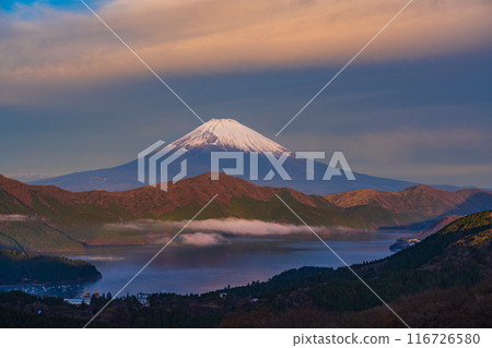 （神奈川縣）黎明時從箱根代官山看到的初冬富士山 116726580