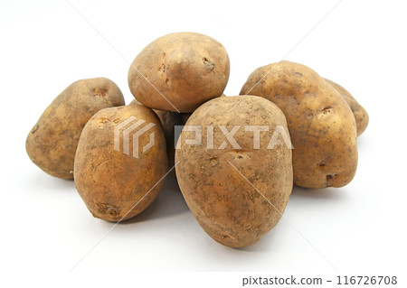 馬鈴薯(光) 馬鈴薯(光) 116726708