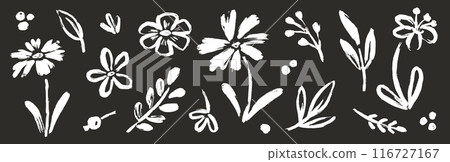 Flower abstract hand drawn brush chalk stroke. Sketch hand drawn silhouette floral plant, nature graphic leaf, floral grunge abstract brush. Vector simple flower on chalkboard. Vector 116727167