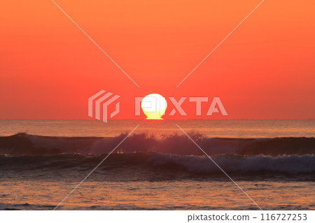 Sunrise scenery at Okuragahama Beach in Miyazaki, with the Daruma sunrise seen over rough waves 116727253