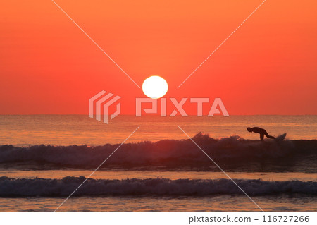 宮崎縣大倉濱，一名衝浪者在朝陽下閃閃發光的海浪中衝浪 116727266