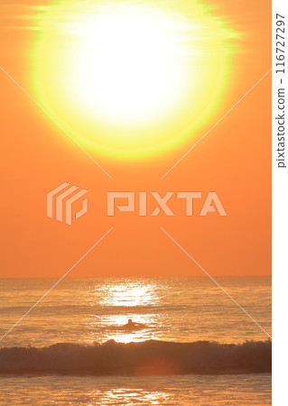 衝浪者在宮崎大倉濱劃向清晨的陽光 衝浪者在宮崎大倉濱劃向清晨的陽光 116727297