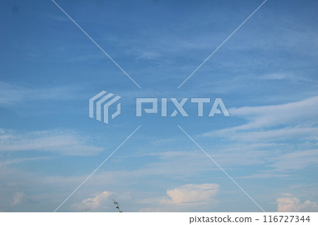 White clouds in blue sky. Feathery obslaka on a blue background. Beautiful Sky Landscape White clouds in blue sky. Feathery obslaka on a blue background. Beautiful Sky Landscape 116727344
