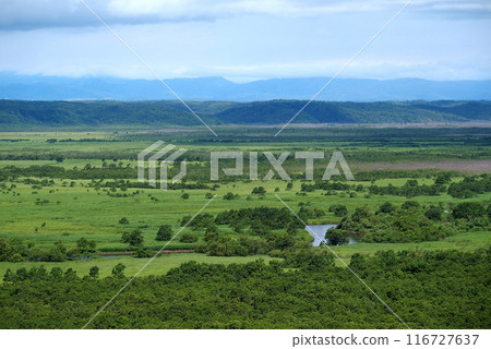 北海道夏季釧路濕地 北海道夏季釧路濕地 116727637