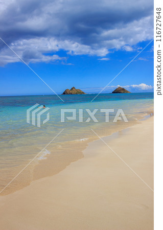 beautiful hawaii beach scenery 116727648