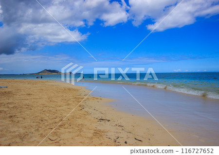 beautiful hawaii beach scenery 116727652