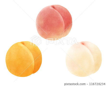Set of 3 types of peaches (white peach, genuine white peach, yellow peach) 116728234