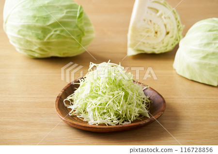 白菜絲 116728856
