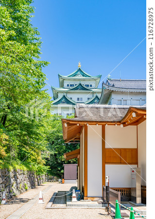 特別史蹟 名古屋城本丸禦殿 從湯殿書院眺望天守閣 特別史蹟 名古屋城本丸禦殿 從湯殿書院眺望天守閣 116728975