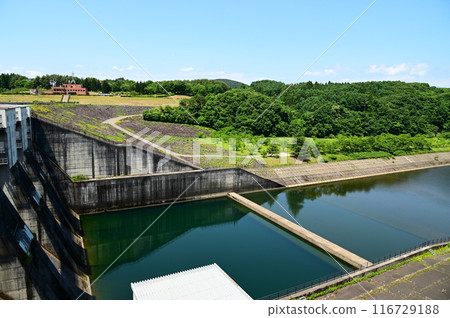 Top 100 Dam Lakes: Lake Gosho 116729188