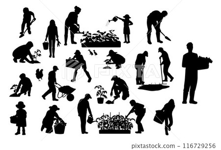 People are gardening silhouette, garden, flowers and plants at home and outdoor, gardener with gardening elements 116729256