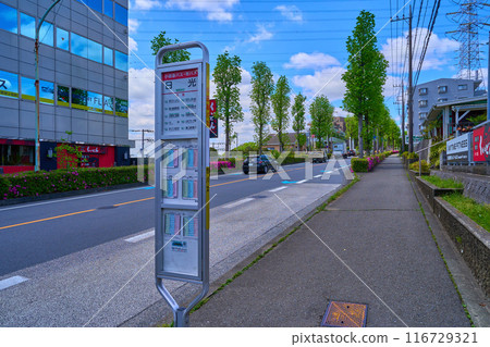 神奈川縣川崎市淺生區上莊4丁目14號日光巴士站西邊盛開的杜鵑花 116729321