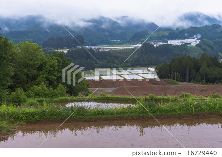 240601 Ueno-daira z011 116729440