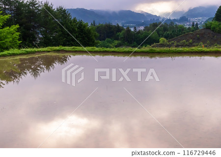 240601 Ueno-daira g146 240601 Ueno-daira g146 116729446