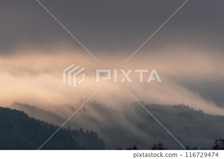 240601 Uenohira g021 116729474