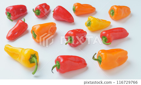 五顏六色的辣椒粉 五顏六色的辣椒粉 116729766