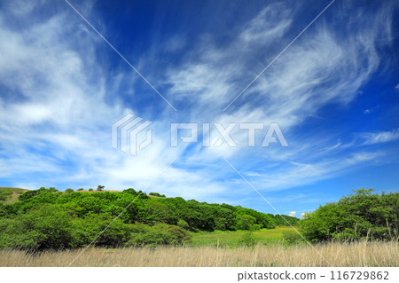 Blue sky and white clouds on the Kirigamine Plateau 116729862