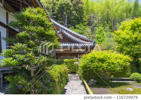 京都嵐山華嚴寺(鈴壽司寺)院內 京都嵐山華嚴寺(鈴壽司寺)院內 116729979