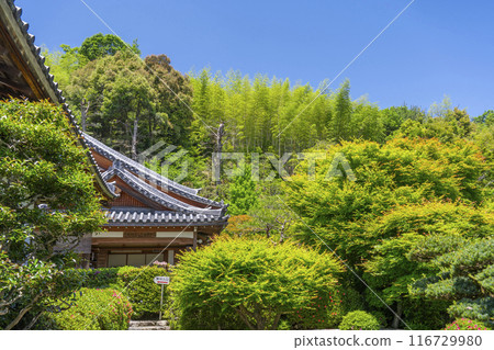 Kegon-ji Temple (Suzumushi-dera Temple) grounds, Arashiyama, Kyoto 116729980