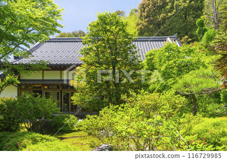 Kegon-ji Temple (Suzumushi-dera Temple), Arashiyama, Kyoto - Reception hall seen from the garden 116729985