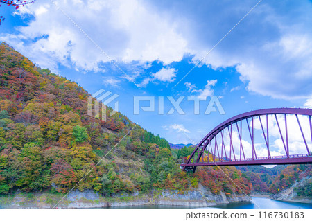 [Autumn material] Autumn leaves of Okususobana Valley [Nagano Prefecture] 116730183