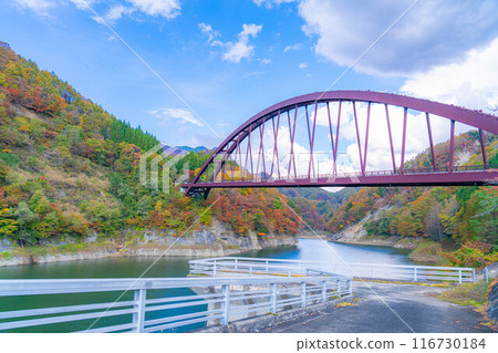 [Autumn material] Autumn leaves of Okususobana Valley [Nagano Prefecture] 116730184