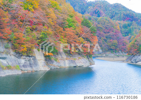 [Autumn material] Autumn leaves of Okususobana Valley [Nagano Prefecture] 116730186