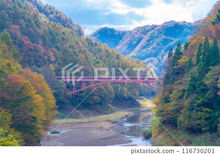 [Autumn material] Autumn leaves of Okususobana Valley [Nagano Prefecture] 116730201