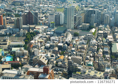 Tokyo cityscape 116730271