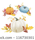 Colorful watercolor pumpkins with vibrant autumn leaves collection 116730301