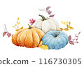 Beautiful watercolor illustration of colorful pumpkins surrounded by fall leaves 116730305