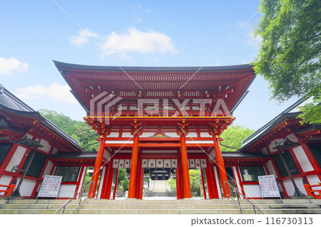 志賀近江神社、藍色秋葉和塔門 116730313