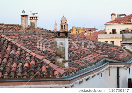The streets of Venice 116730347