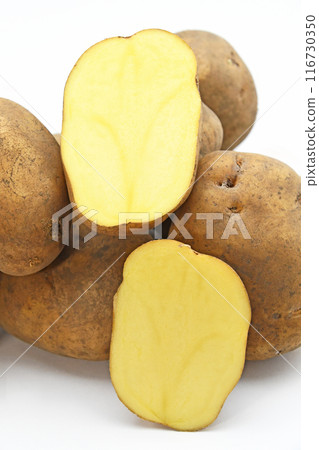 馬鈴薯（光） 116730350