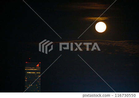 Buck Moon 2024 116730550