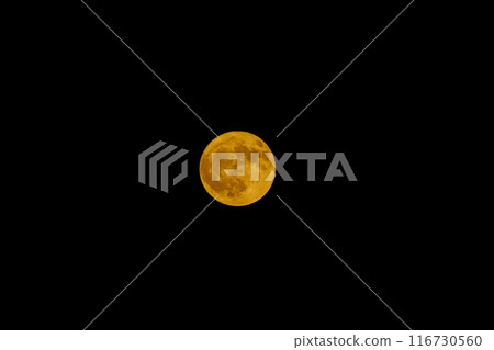 Buck Moon 2024 116730560