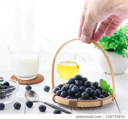 blueberry blueberry 116731633