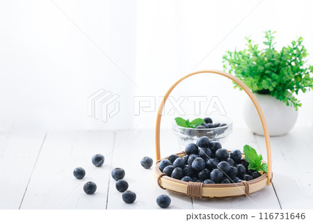 藍莓 116731646