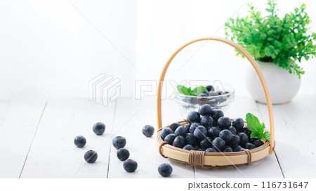 blueberry blueberry 116731647