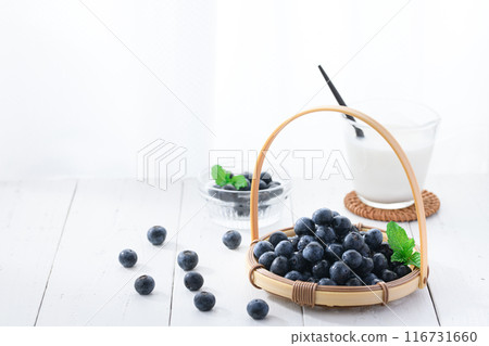 blueberry blueberry 116731660
