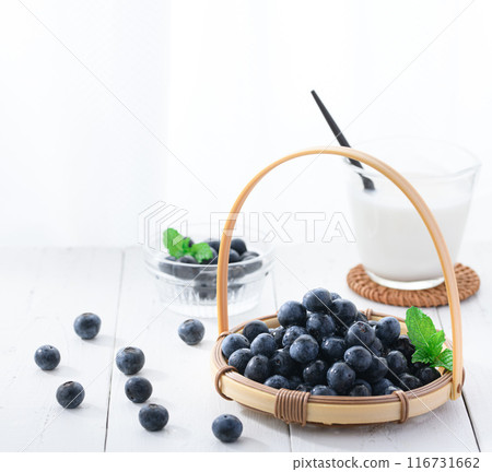 藍莓 藍莓 116731662