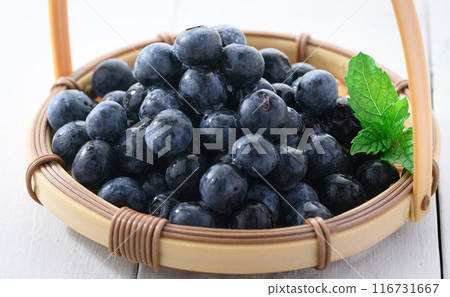 blueberry blueberry 116731667