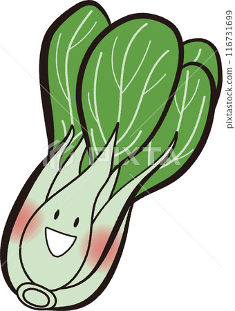 Smiling bok choy cartoon material 116731699