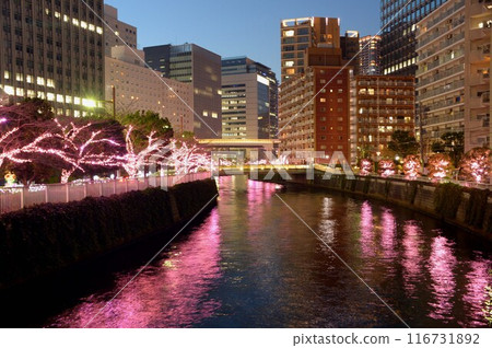 Meguro River Mino's Illuminations Meguro River Mino's Illuminations 116731892