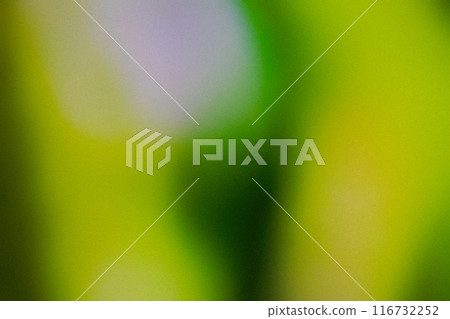 Grainy dark Green Color gradient abstract background, noise texture effect 116732252