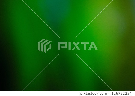 Grainy dark Green Color gradient abstract background, noise texture effect Grainy dark Green Color gradient abstract background, noise texture effect 116732254
