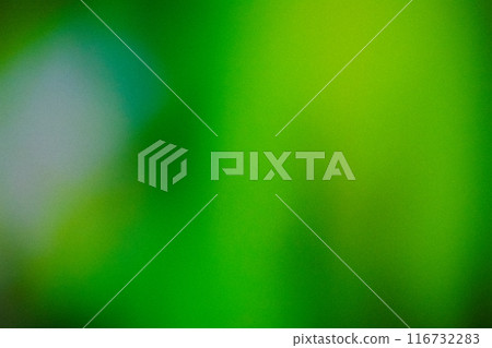 Grainy dark Green Color gradient abstract background, noise texture effect 116732283