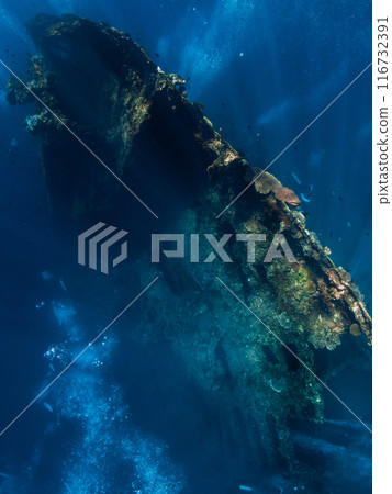 Diving at USAT Liberty Wreck in Bali. Freediving in deep sea Diving at USAT Liberty Wreck in Bali. Freediving in deep sea 116732391